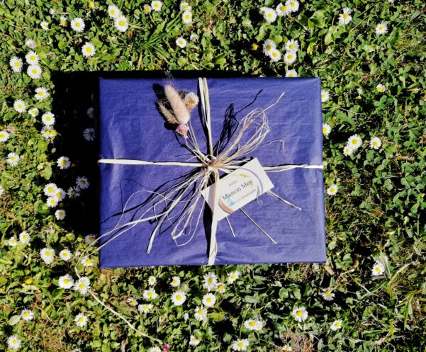 cadeau emballé papier soie bleu dans herbe et paquerettes